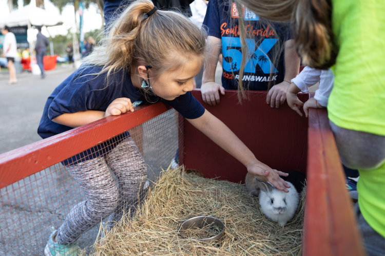 The Kids Zone at Gift of Life Marrow Registry's Steps for Life 5k on January 16, 2022 gave kids a chance to meet barnyard animals as well as Peruvian alpacas. 