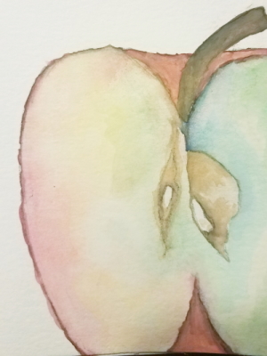 Apple painted by Tani Weinstein during her stem cell donation with Gift of Life Marrow Registry. 