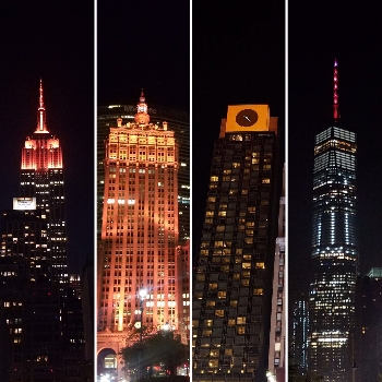 The Empire State Building and other landmarks in New York City were lighted up in honor of Gift of Life Marrow Registry on the night of the gala.